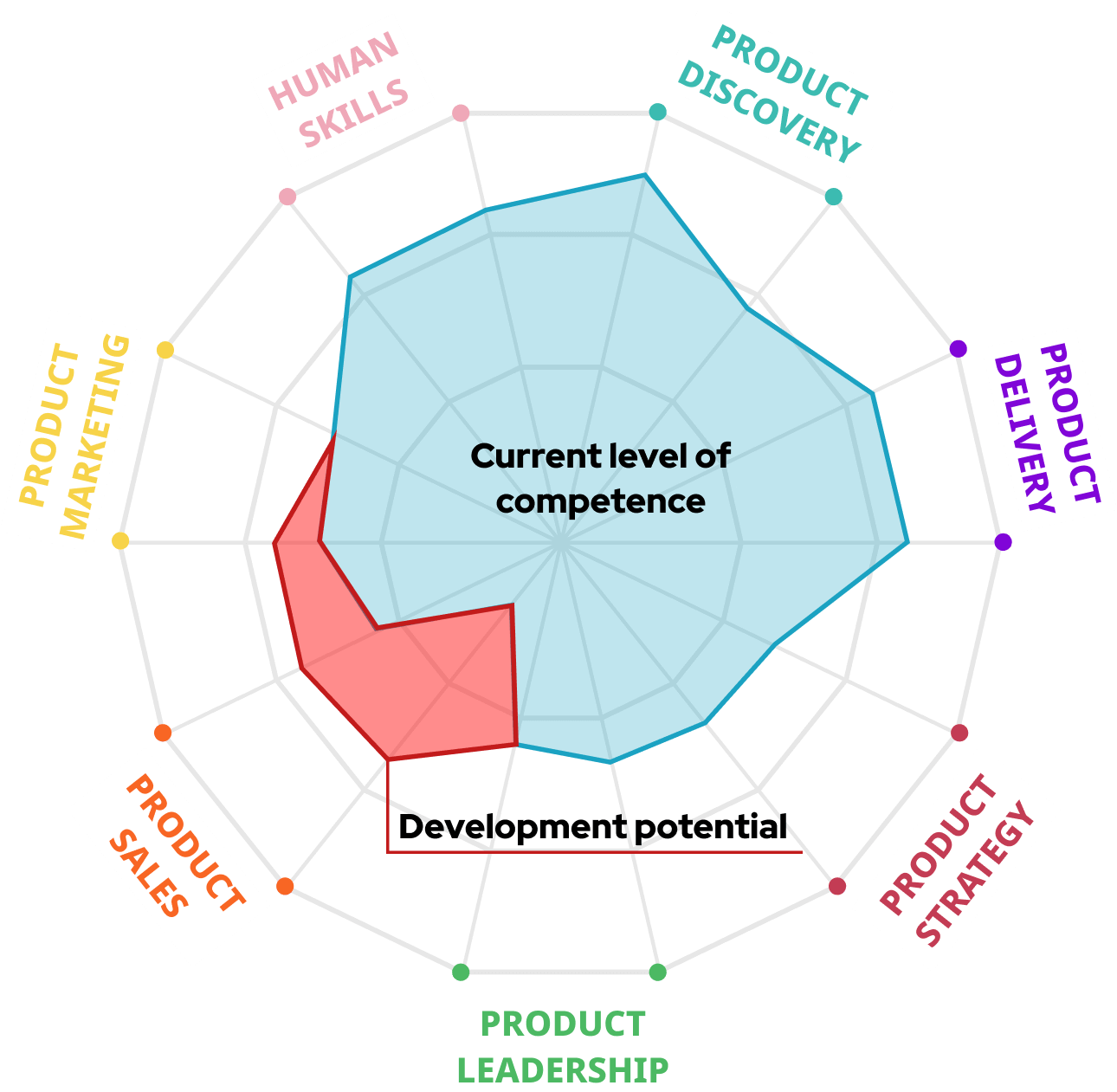 Skills Assessment for Product Managers and Product Owner